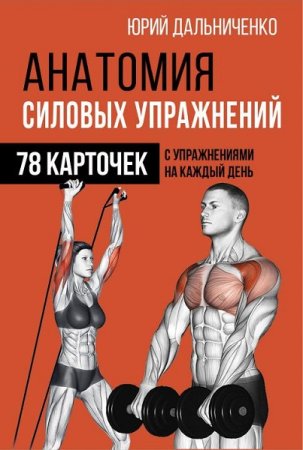 Постер к Анатомия силовых упражнений. 48 карточек с упражнениями на каждый день